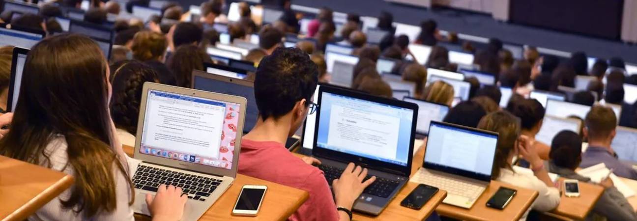 annuaire bachelor parcoursup