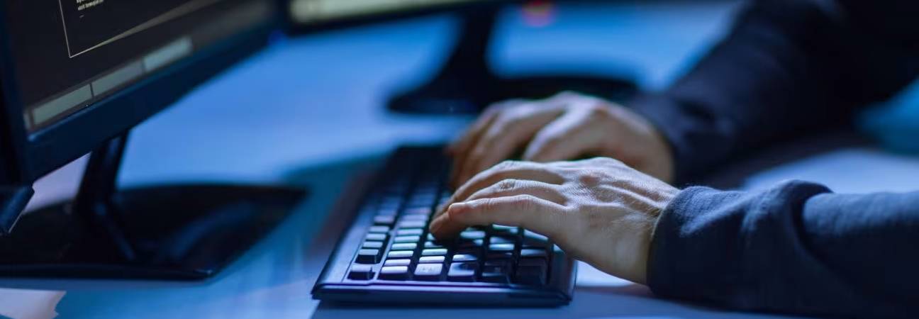 bac cybersecurite