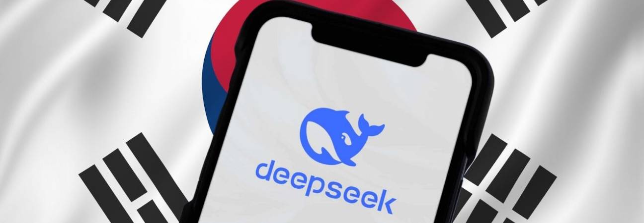 deepseek coree