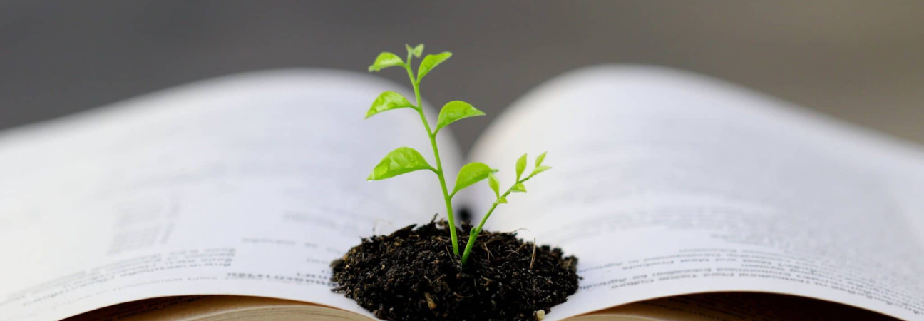 ecologie education