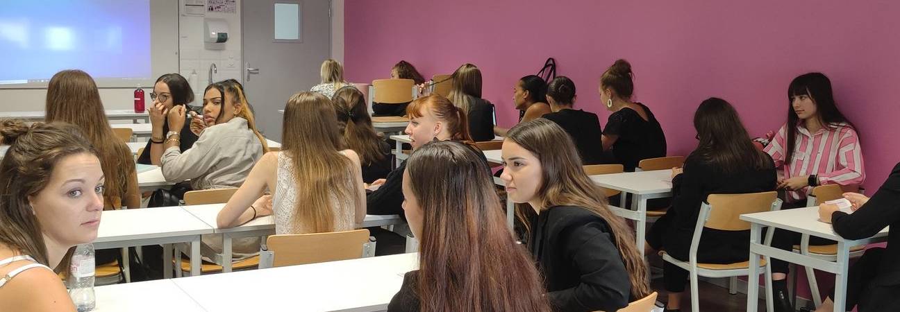 enseignement esthetique