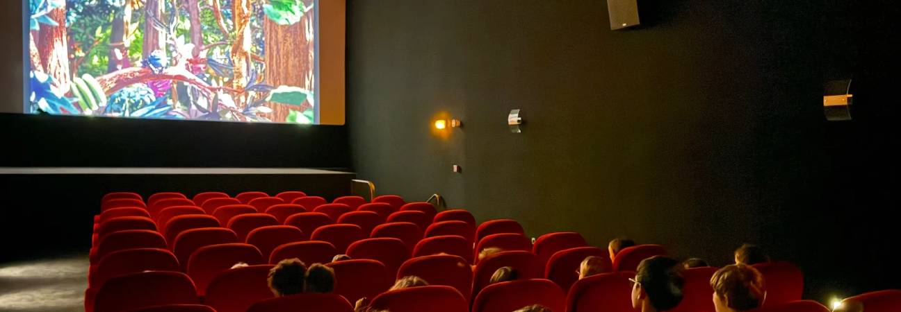 faq meilleures ecoles cinema
