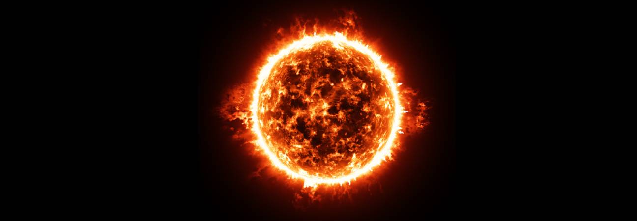 fin soleil