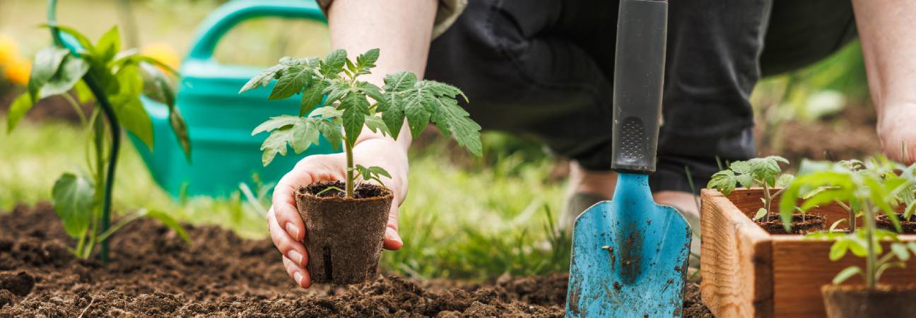 master biodiversite