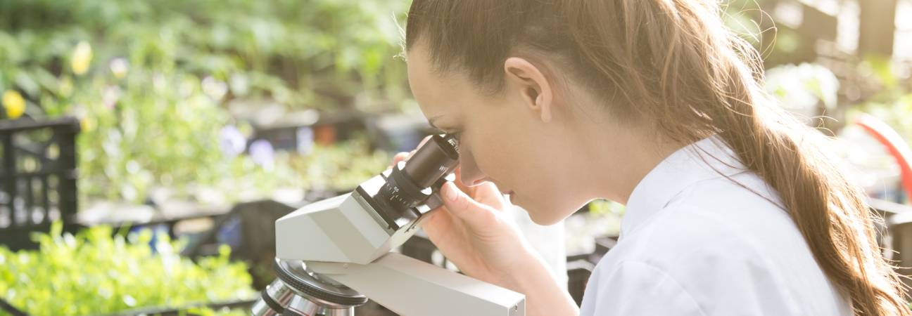 master biologie vegetale