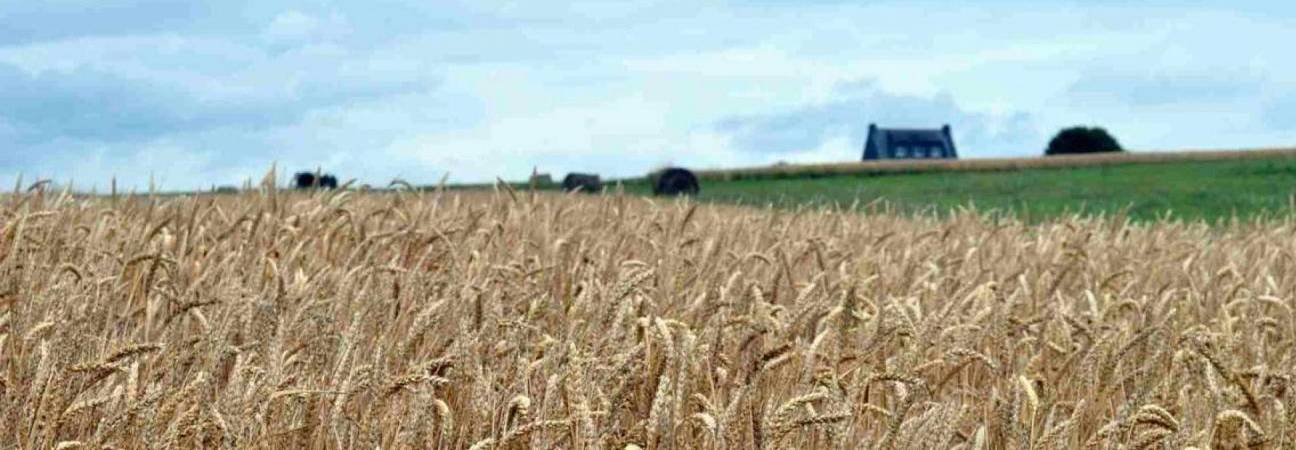 parcoursup agricole 2025