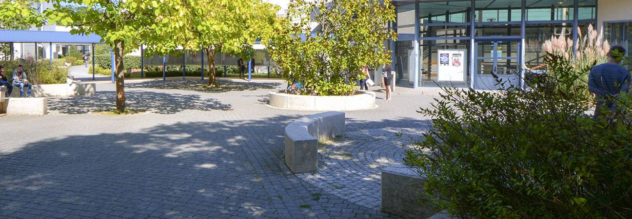 universite orleans