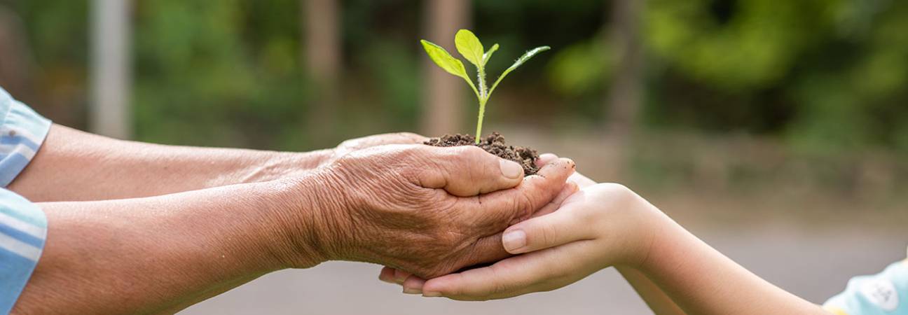 action publique environnement
