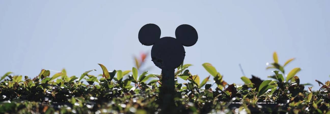 disney fcc