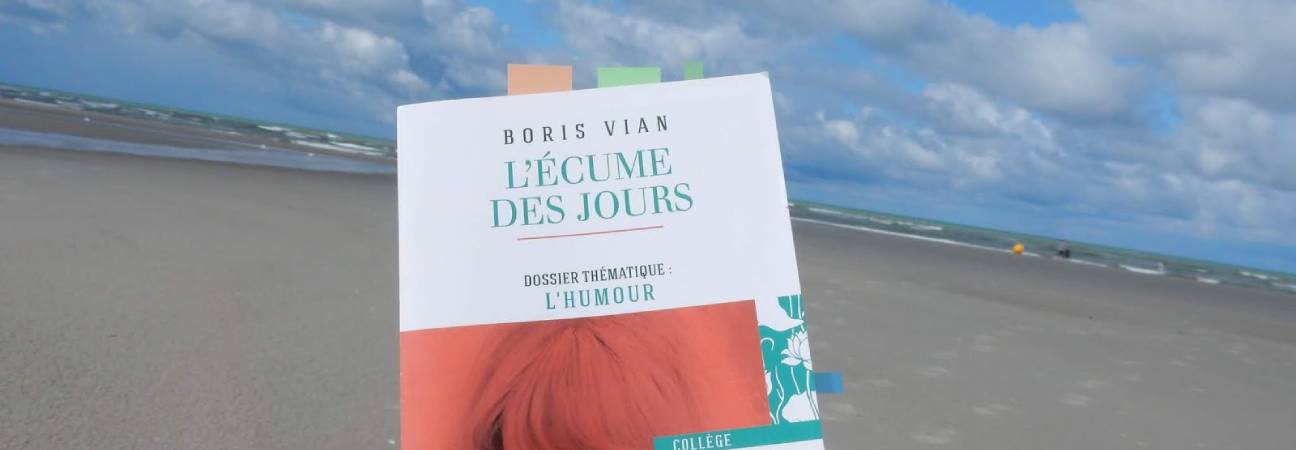 ecume jours boris vian