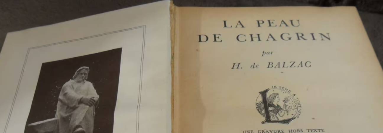 la peau chagrin