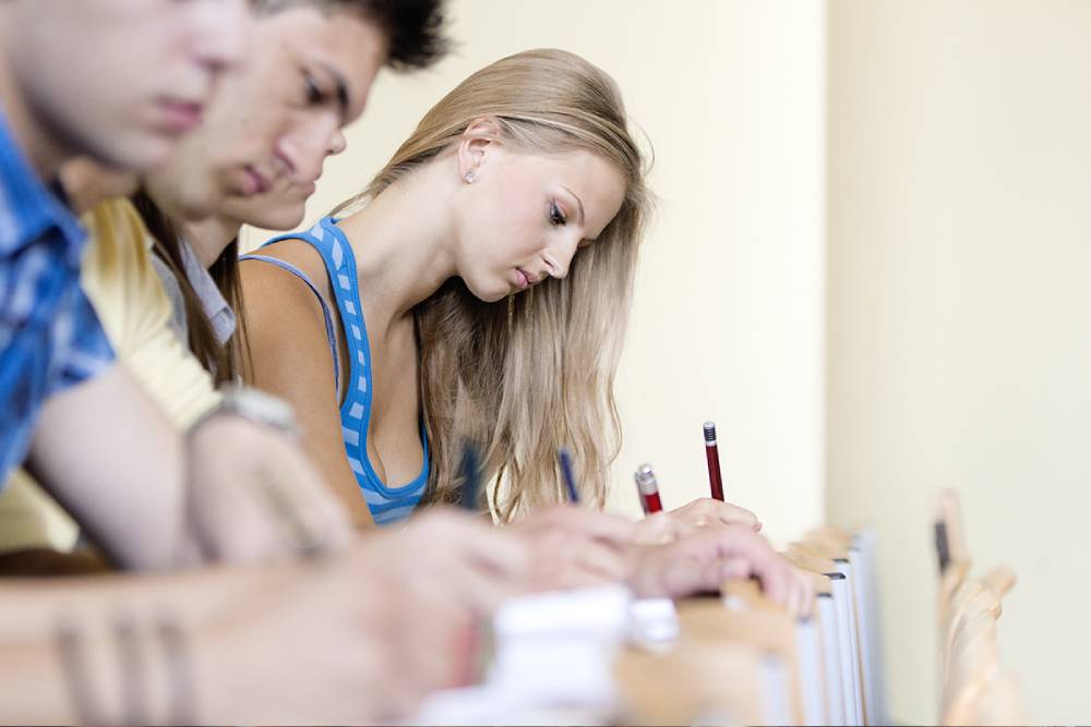 licence formation