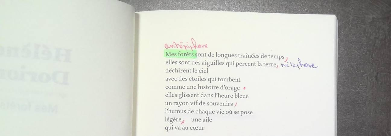 mes forets helene dorion