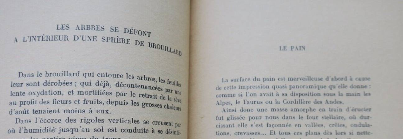 parti des choses francis
