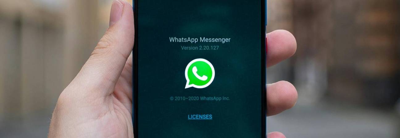 23333 whatsapp