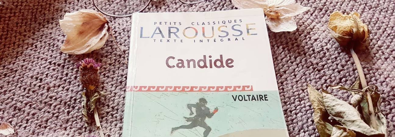 candide voltaire quiz