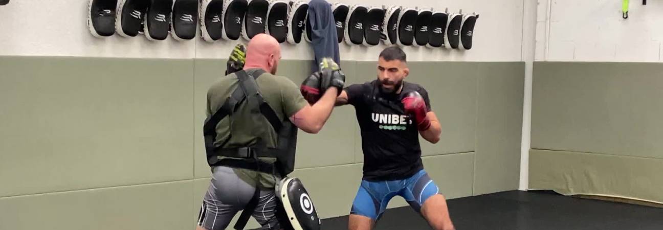 mma licences france