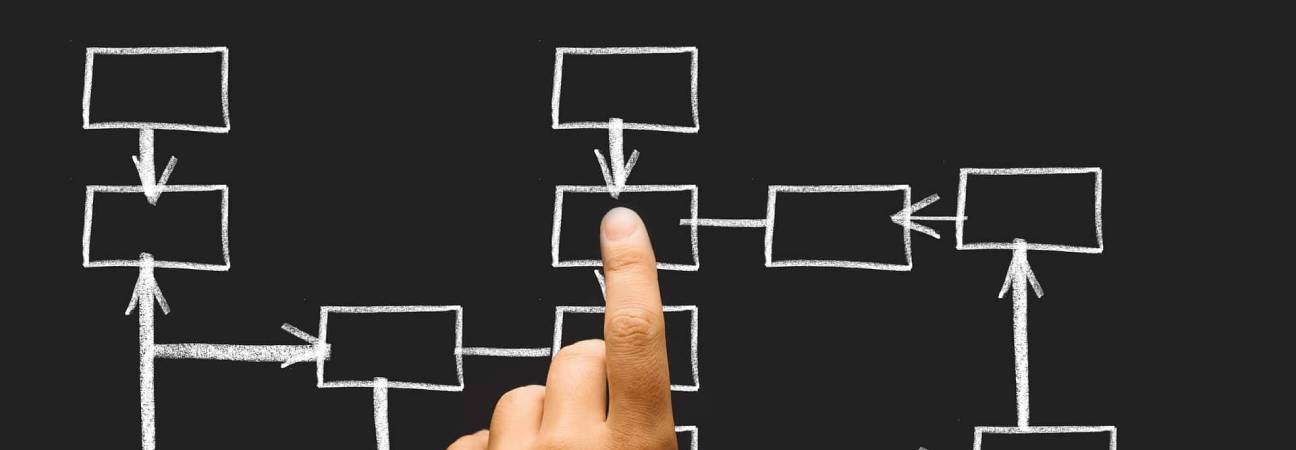 organisation entreprise ses