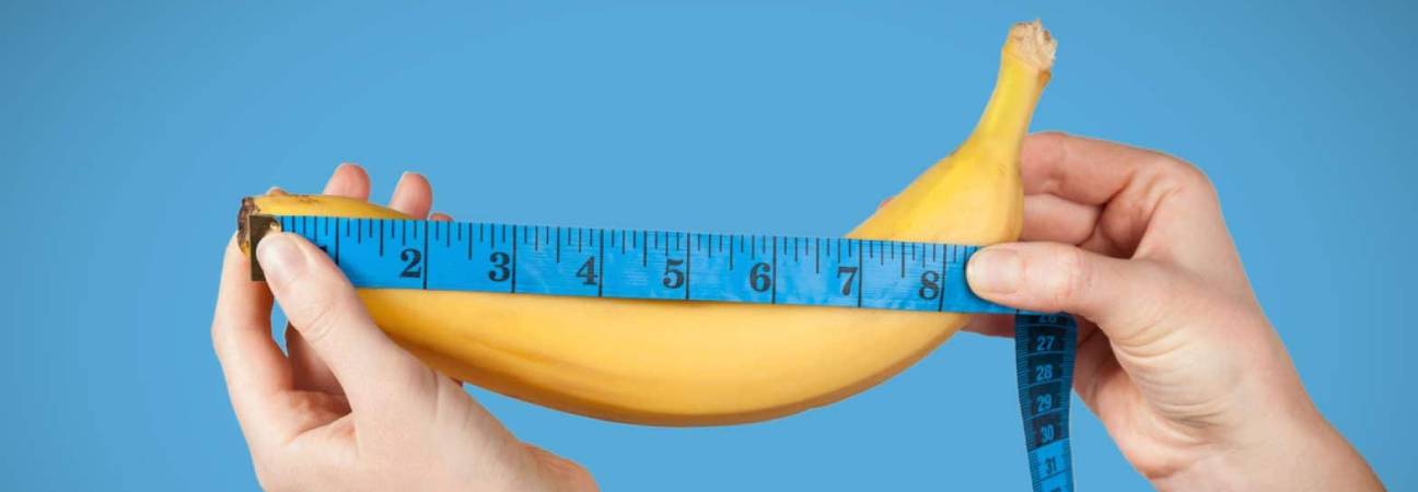 taille penis femme
