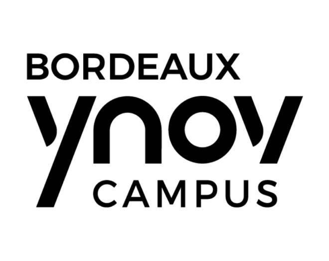 ynov bordeaux logo