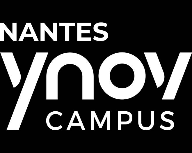 ynov nantes logo