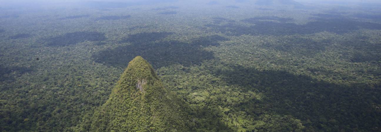 cerro el cono
