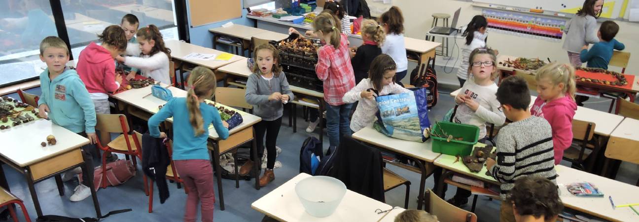 Cour des comptes école primaire