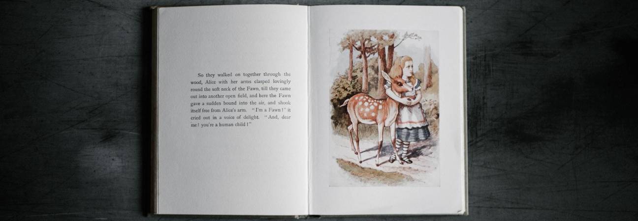 Comment décrire une image en anglais