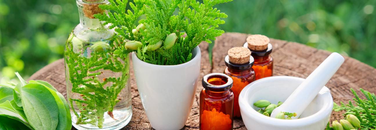 formation naturopathe
