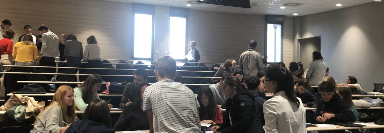 ifres école