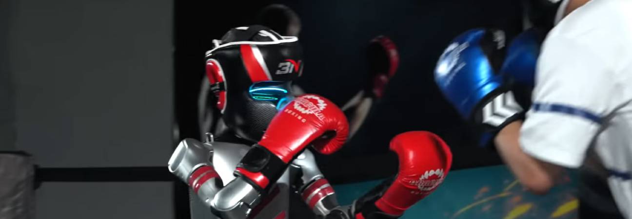 kick boxing robot chinois
