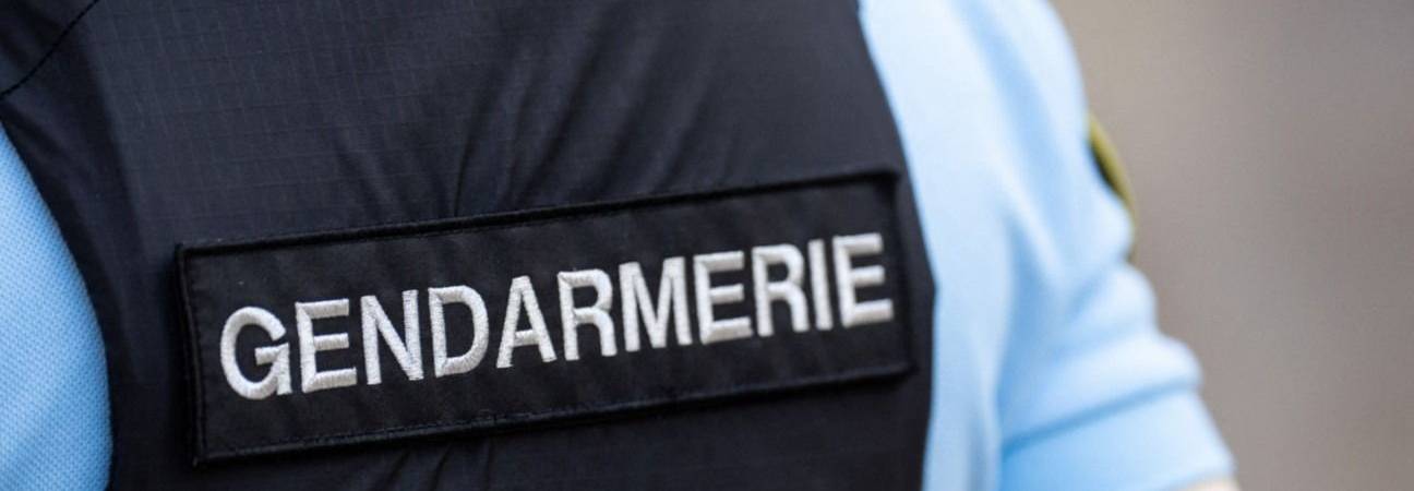 reseau pédo démentelement