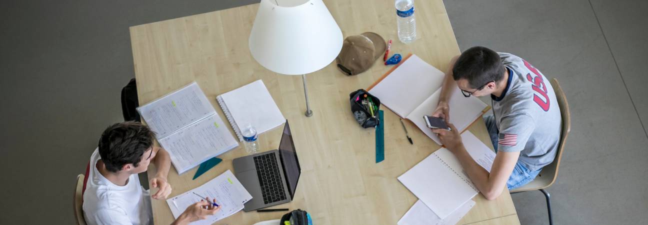 bac de français malin