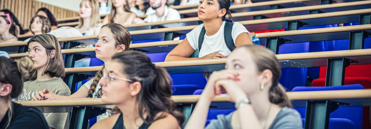 bts après bac pro litéraire