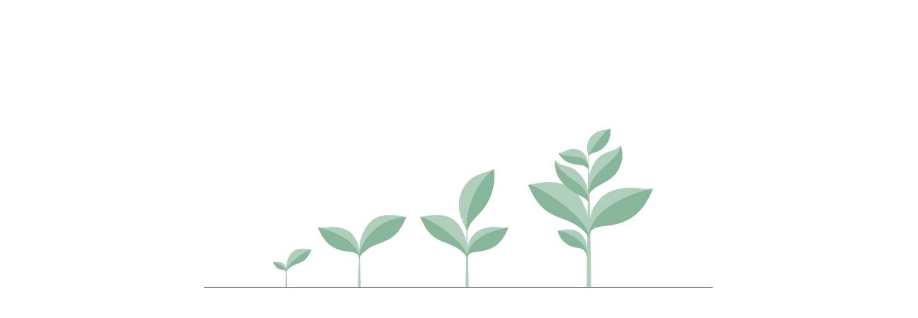 evolution portfolio