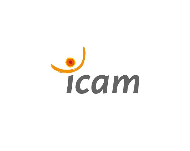 icam logo