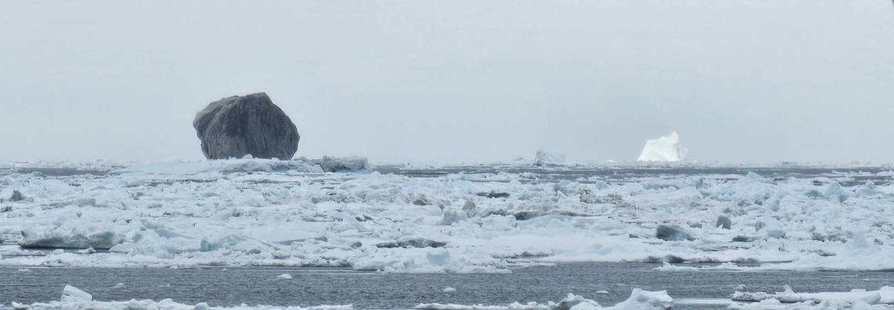 iceberg noir canada