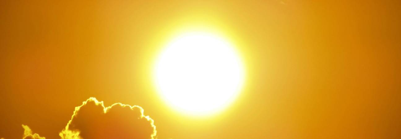 numero vert canicule