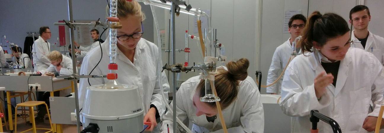 Que faire après un bac s