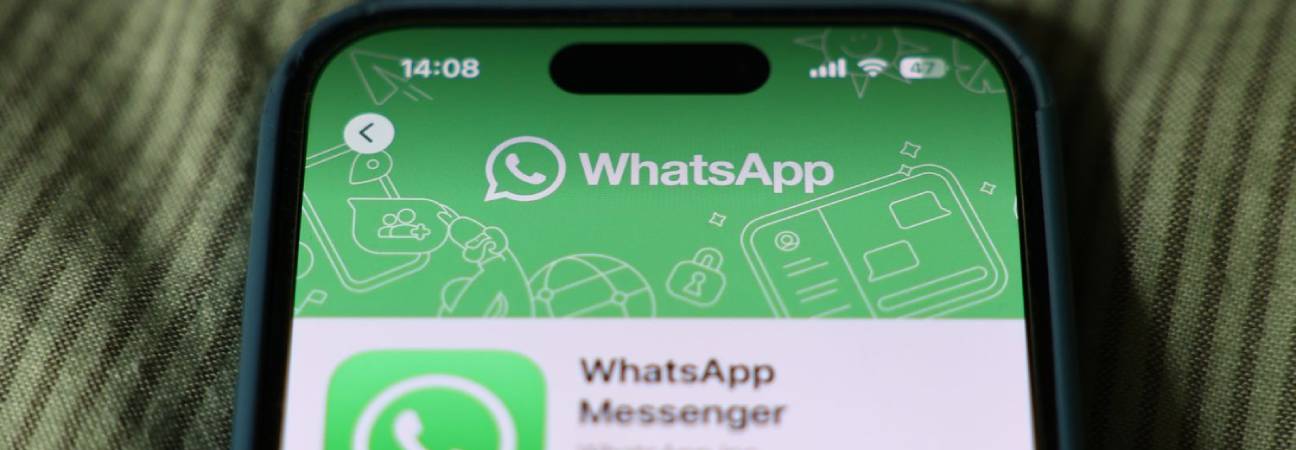 whatsapp pub