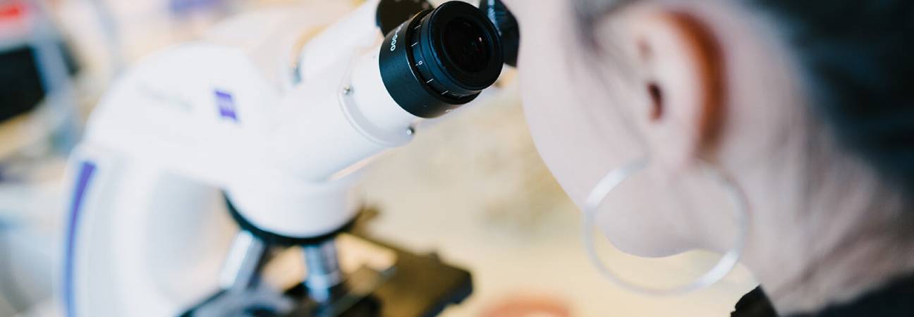 travailler laboratoire
