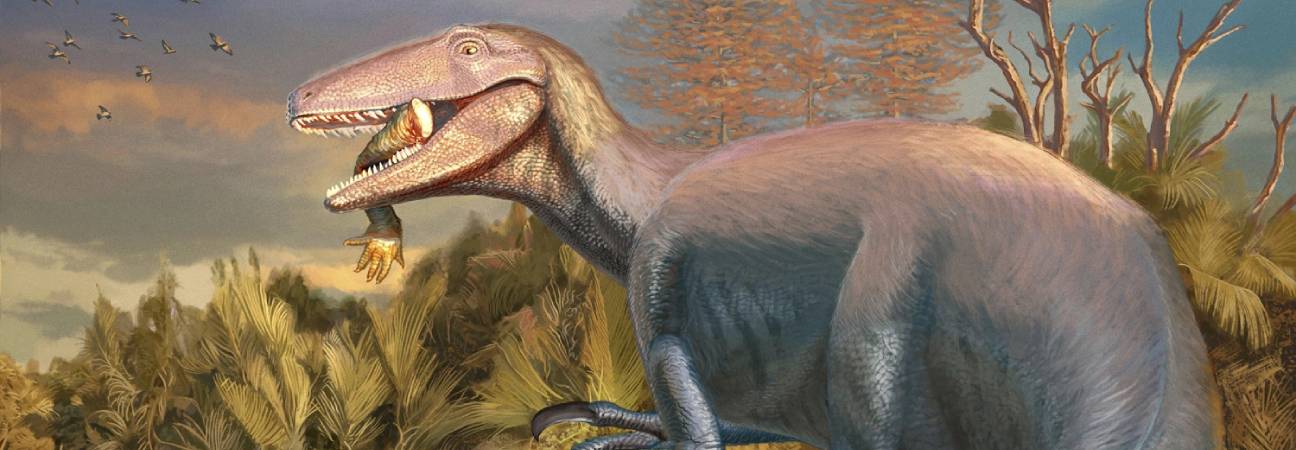 argentine dinosaure