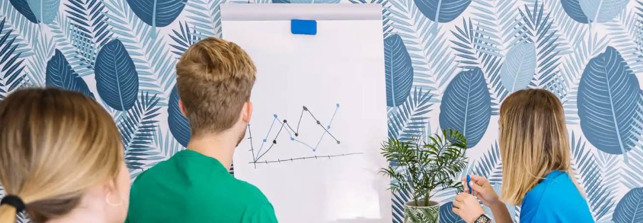 plan d'action étudiant