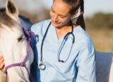 prix école veterinaire