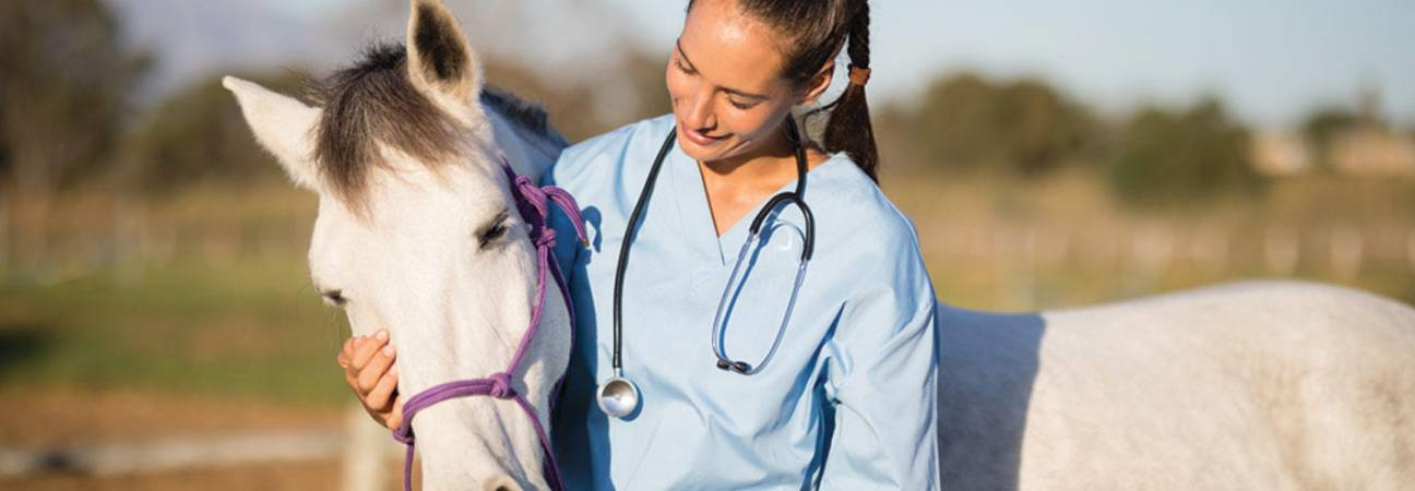 prix école veterinaire