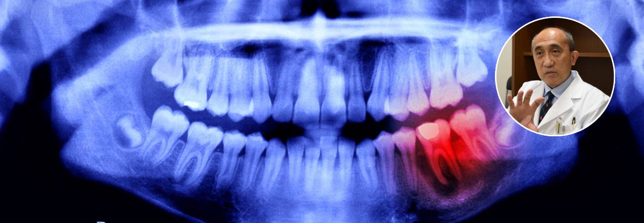 faire repousser les dents