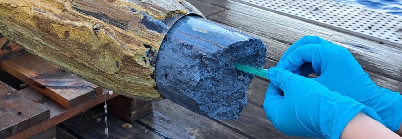 boue bleue pacifique