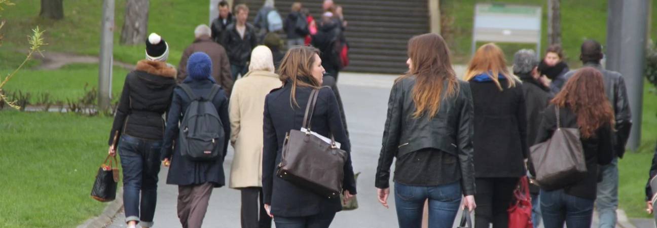 Nombre diplomés universités