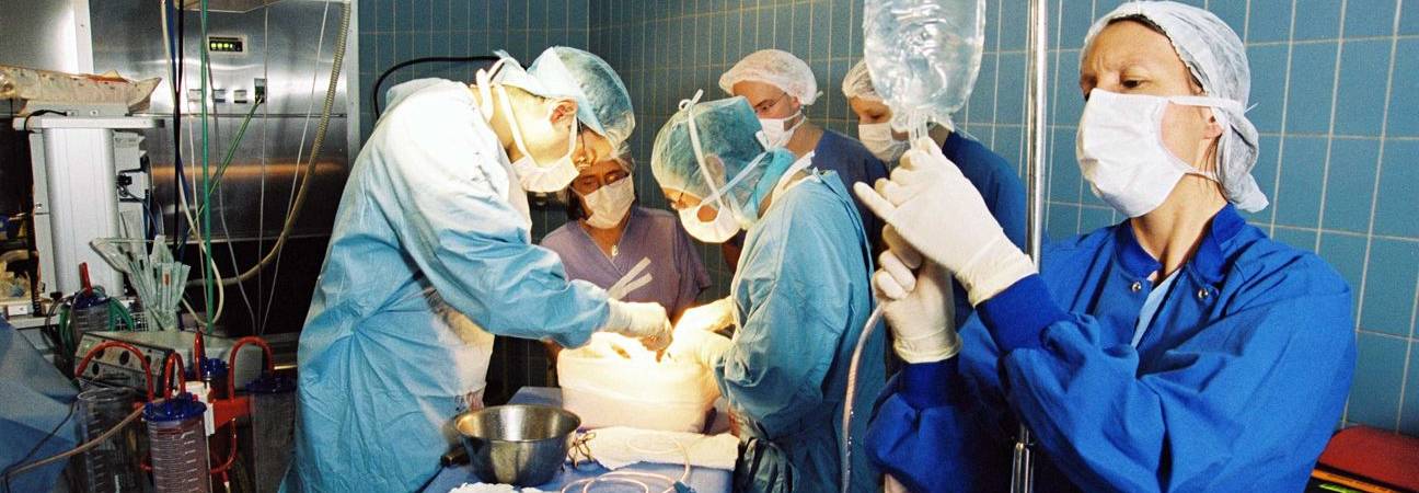 avancee science 2025