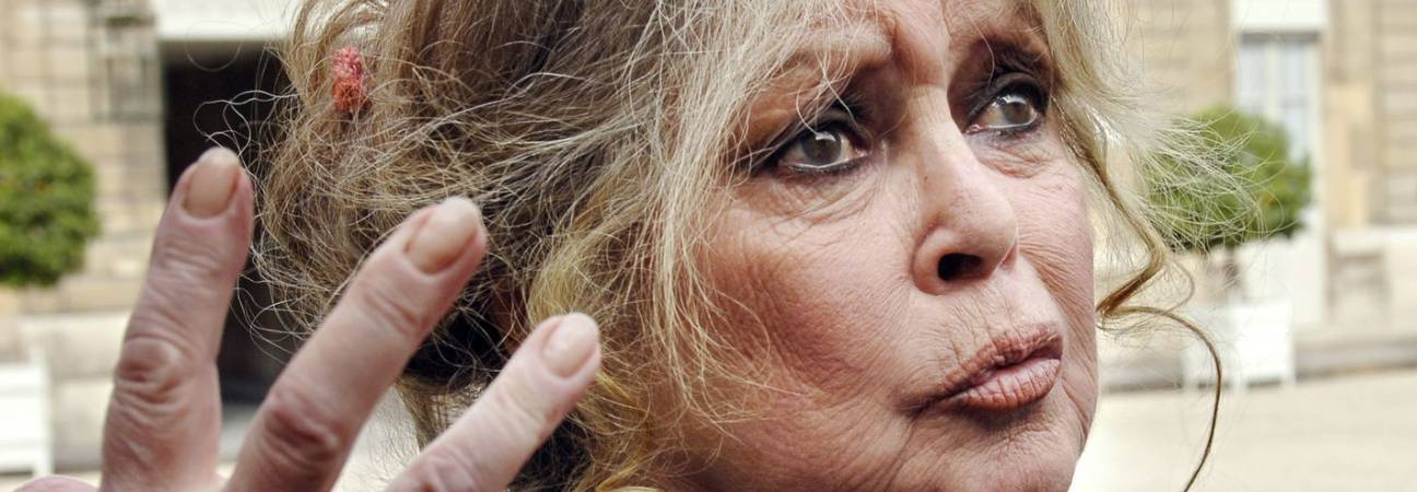 brigitte bardot deces